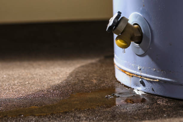Best Basement water damage restoration  in Hatch, NM
