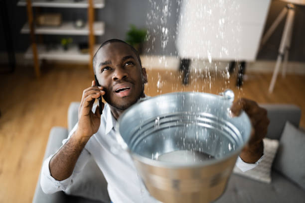 Best Sewage cleanup and water damage restoration  in Hatch, NM